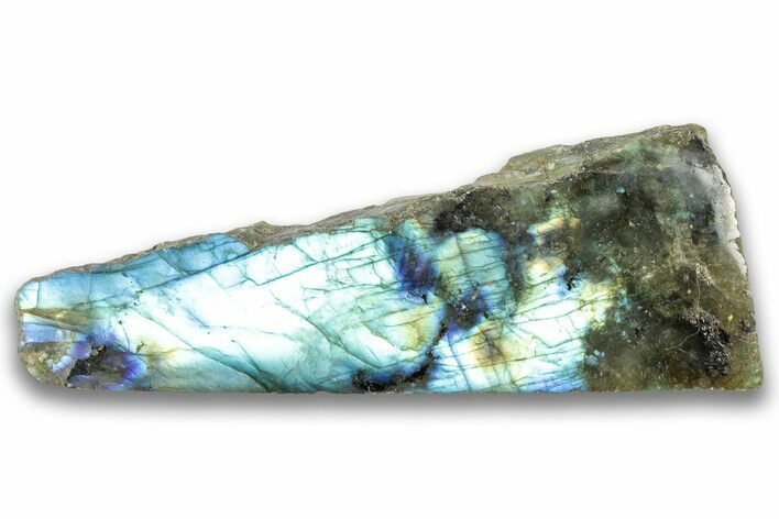 Single Side Polished Labradorite Section - Madagascar #324665